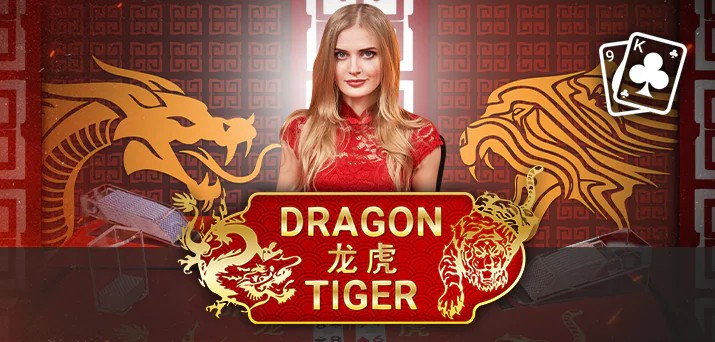 Try Dragon Tiger slot by Pragmatic Play on mameshibaichiro.net – logo image